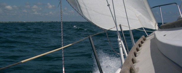 Venice Birthday Sail
