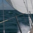 Venice Birthday Sail image