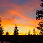 DSCN1583